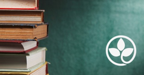 Book Critique