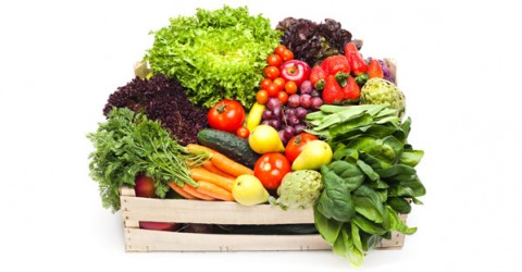 Plant Foods vs. Oils and Cheeses