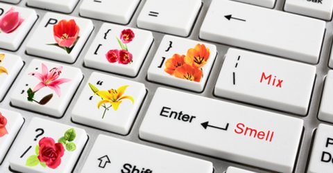 What Do Chips, Mangos and Smoking Have in Common?