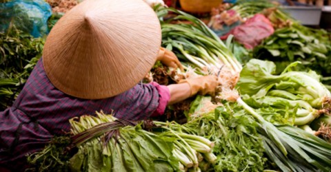 Why China Holds the Key to Your Health