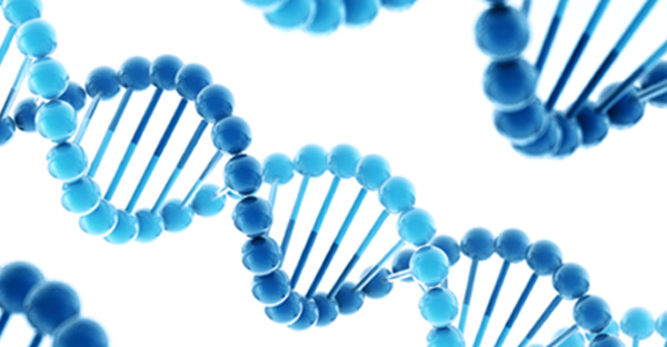 Are Your Genes Hazardous to Your Health? - Center for Nutrition Studies