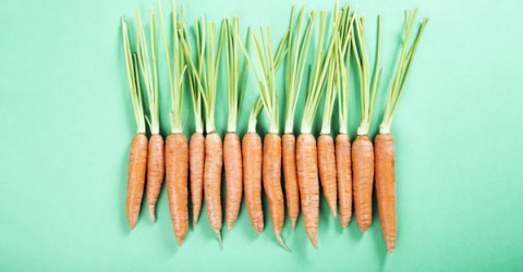 Zanahorias: ¿Qué hay de nuevo, doctor?