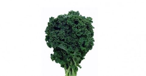 How Important is Dietary Purity