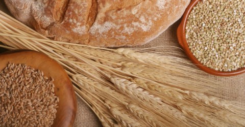 The Great Grain Debate