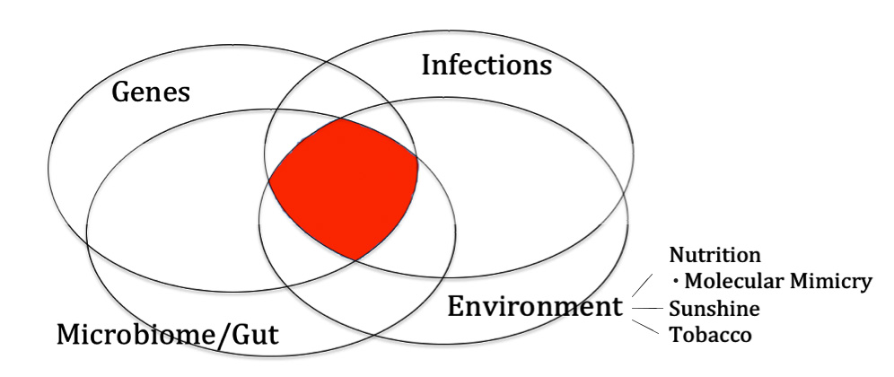 The Autoimmune Formula