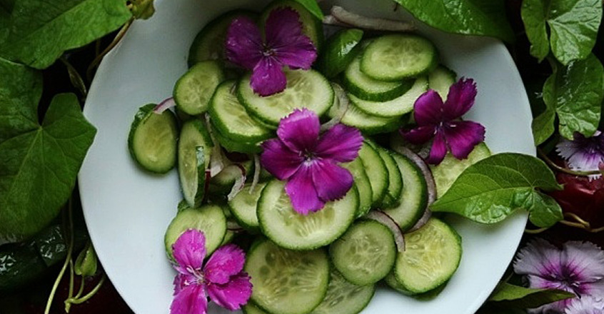 Cucumber Salad Recipe