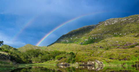 Wish Me Luck, I'm Going Home to Ireland, Plant-Based!