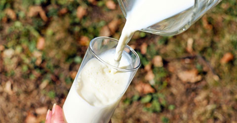 A Mother’s Story About Dairy and Discovering Breast Cancer