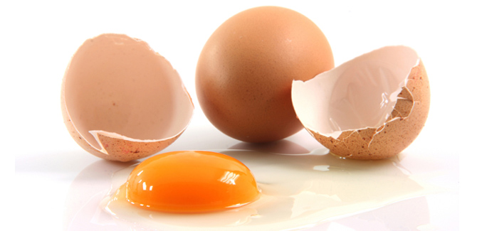 The Mystique of Protein and Its Implications