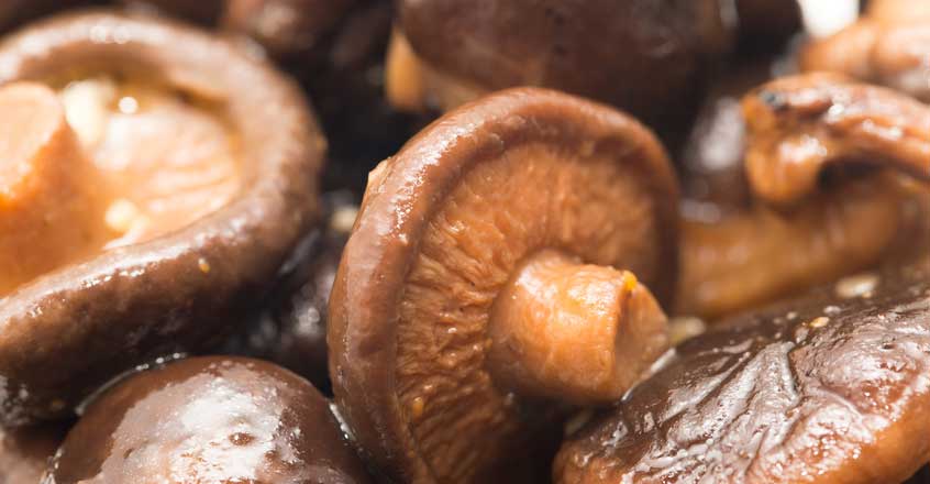 Salsa sabrosa de shiitake