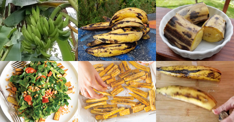 5 Ways to Prepare Ripe Plantains