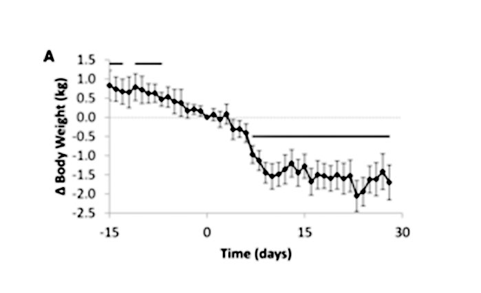 Does the Ketogenic Diet Really Work for Weight Loss?