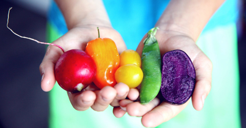 The Fiber Dilemma - Eating Plant-Based Without Tummy Trouble