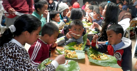Global Whole Food, Plant-Based Community Kitchens