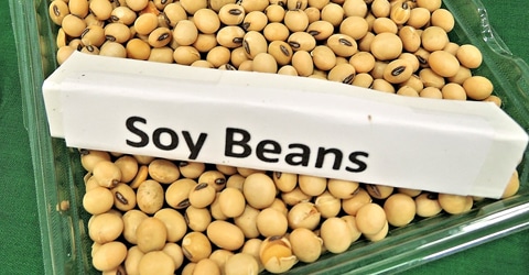 3 Mitos de la soya – Aclarando la confusión