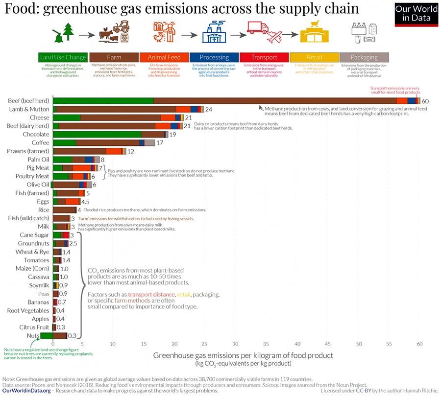 Diet Choice or Food Miles? Where Can We Reduce Our Environmental Footprint?