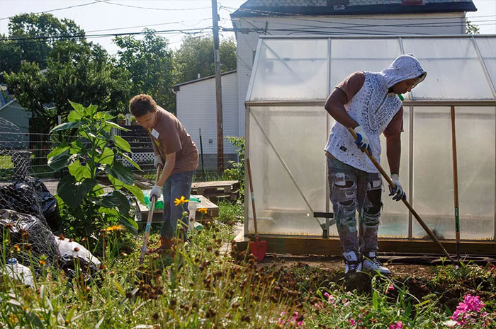 The Grass Is Greener Where You Water It - Gardener Helps to Grow Food and a Community