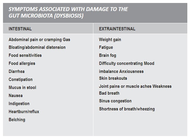 Fiber Fueled - The Key to a Strong Immune System