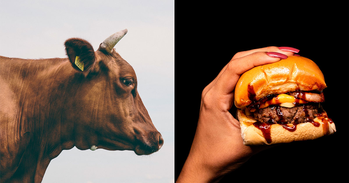 Comer menos carne sería bueno para la Tierra. Pequeñas acciones