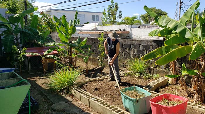 CNS Microgrant Recipient Casa Vegana is Making an Impact in Puerto Rico