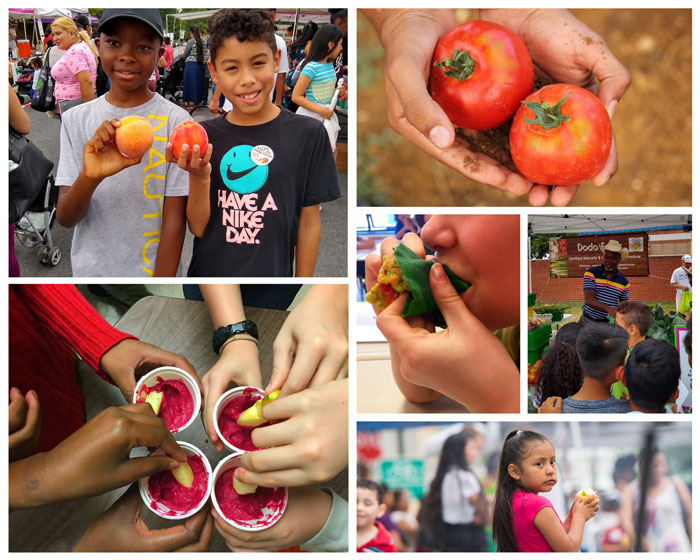 Farm to Fork Collage