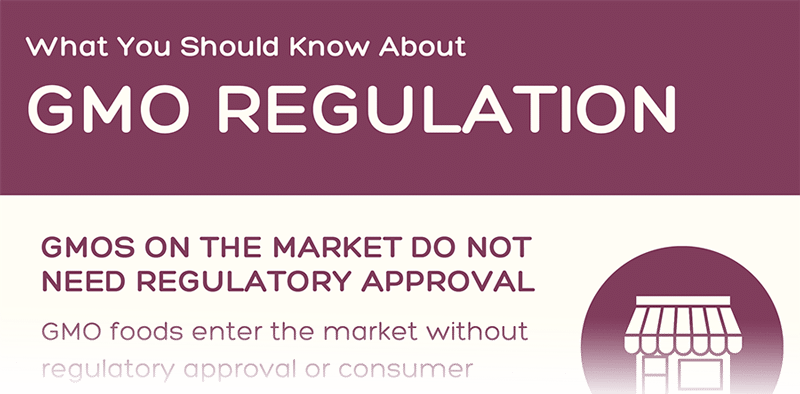 Preview of GMO Regulation Infographic