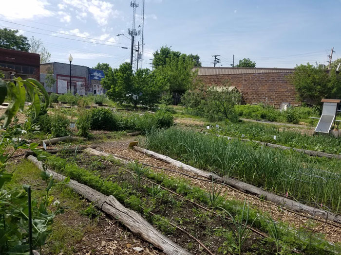 Carbondale Spring Food Autonomy Initiative