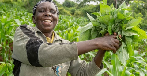 Protech Eco-Green Practices Sustainable Farming & Agroforestry in Kenya