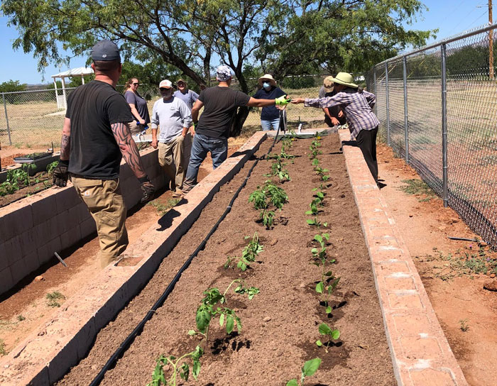 Arizona Community Garden