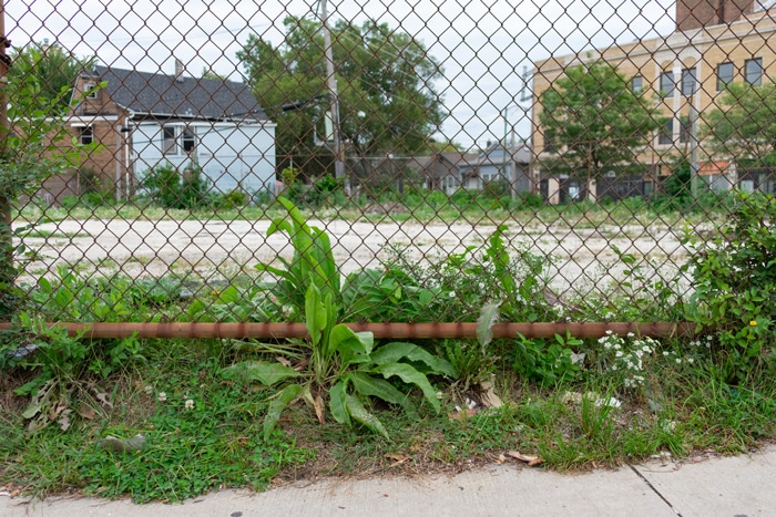 Karen Washington: How Food Shapes Our Communities