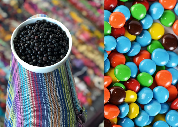 6 Wild Foods That Taste, Smell, or Feel Like Candy