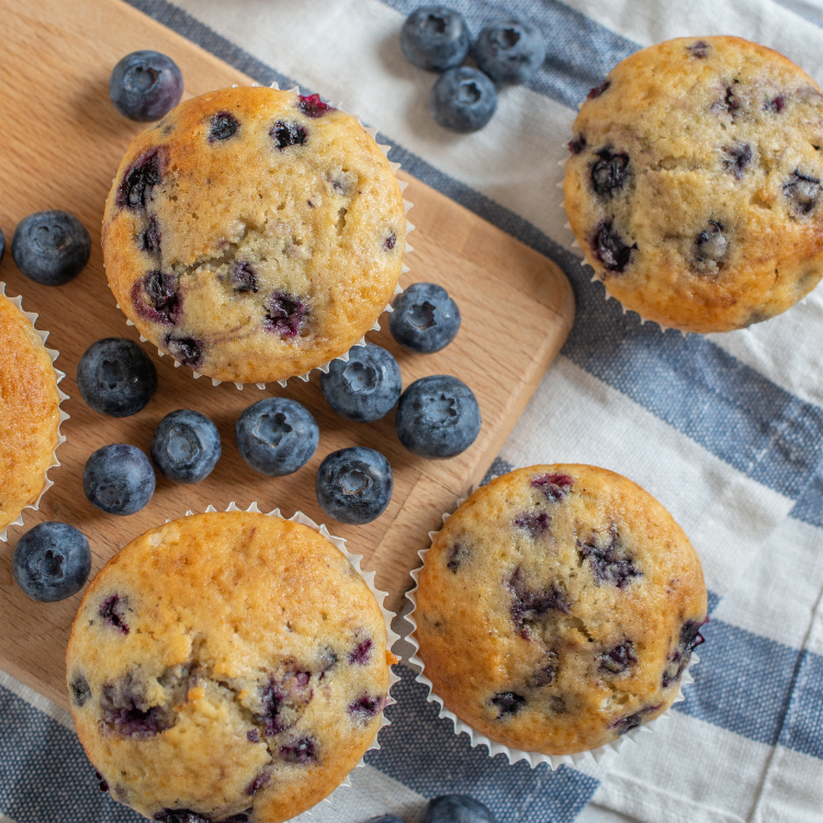 Blueberry Muffin