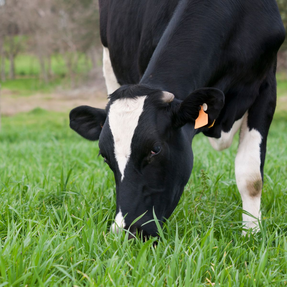 Agriculture Climate Change Connection