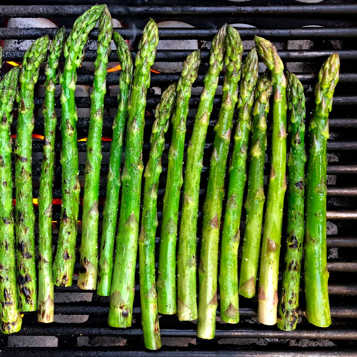 Plant based grilling